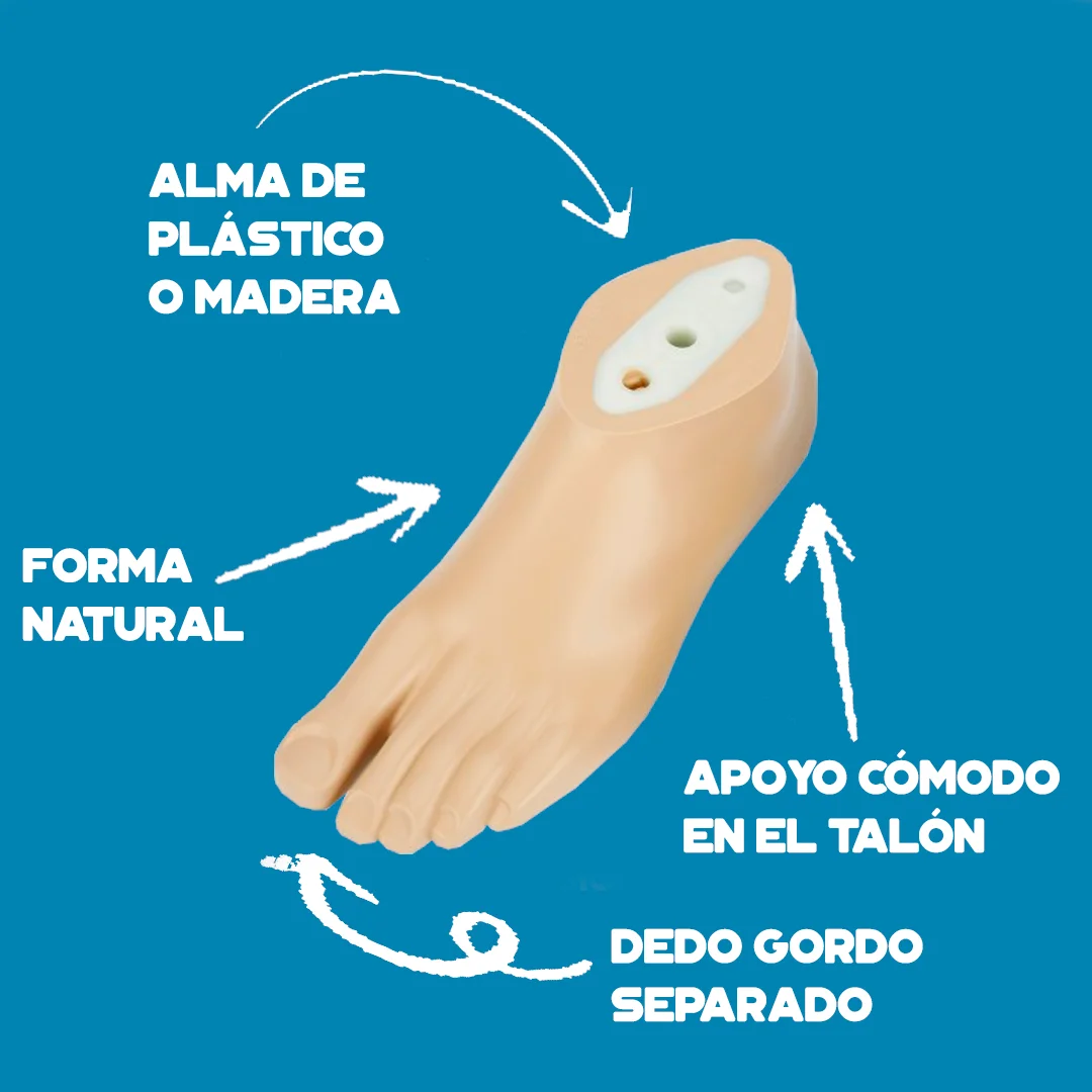 Pie básico